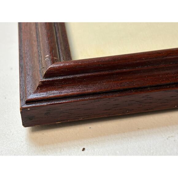 Hand Tinted Framed Photograph Young Woman Tennessee 19x15" w Frame - Picture 3 of 5